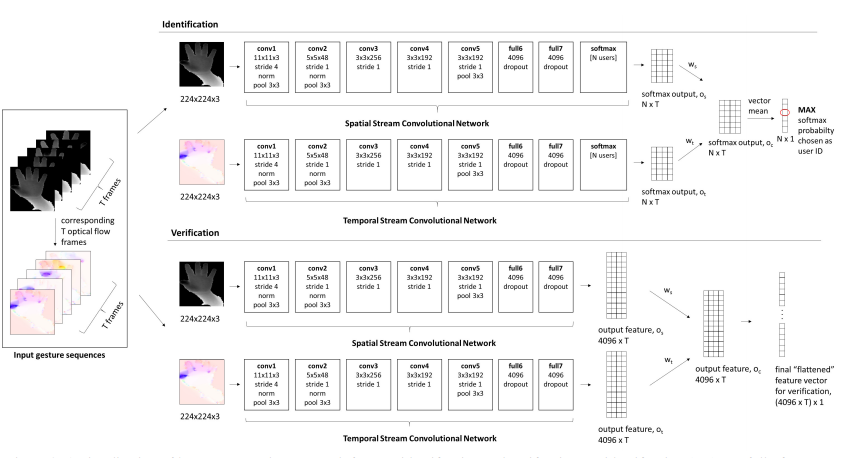 Overview of two-stream convolutional networks for both identification and verification