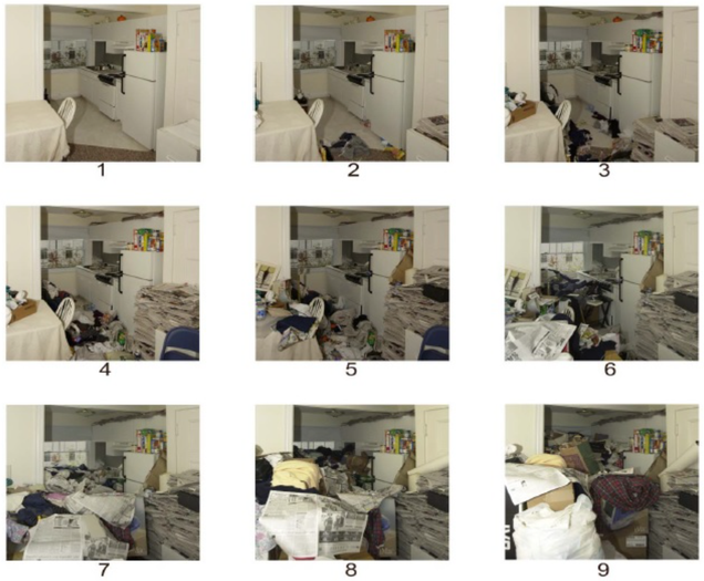 Clutter Image Rating scale for kitchen (G. Steketee and R.O. Frost, ``Treatment for Hoarding Disorder: Assessing Hoarding Problems'' Copyright © 2013 by Oxford University Press.